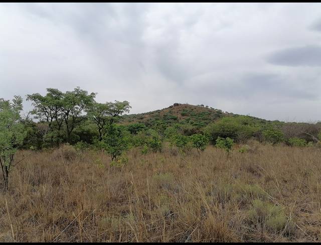 21HA FARM FOR SALE IN MOOINOOI